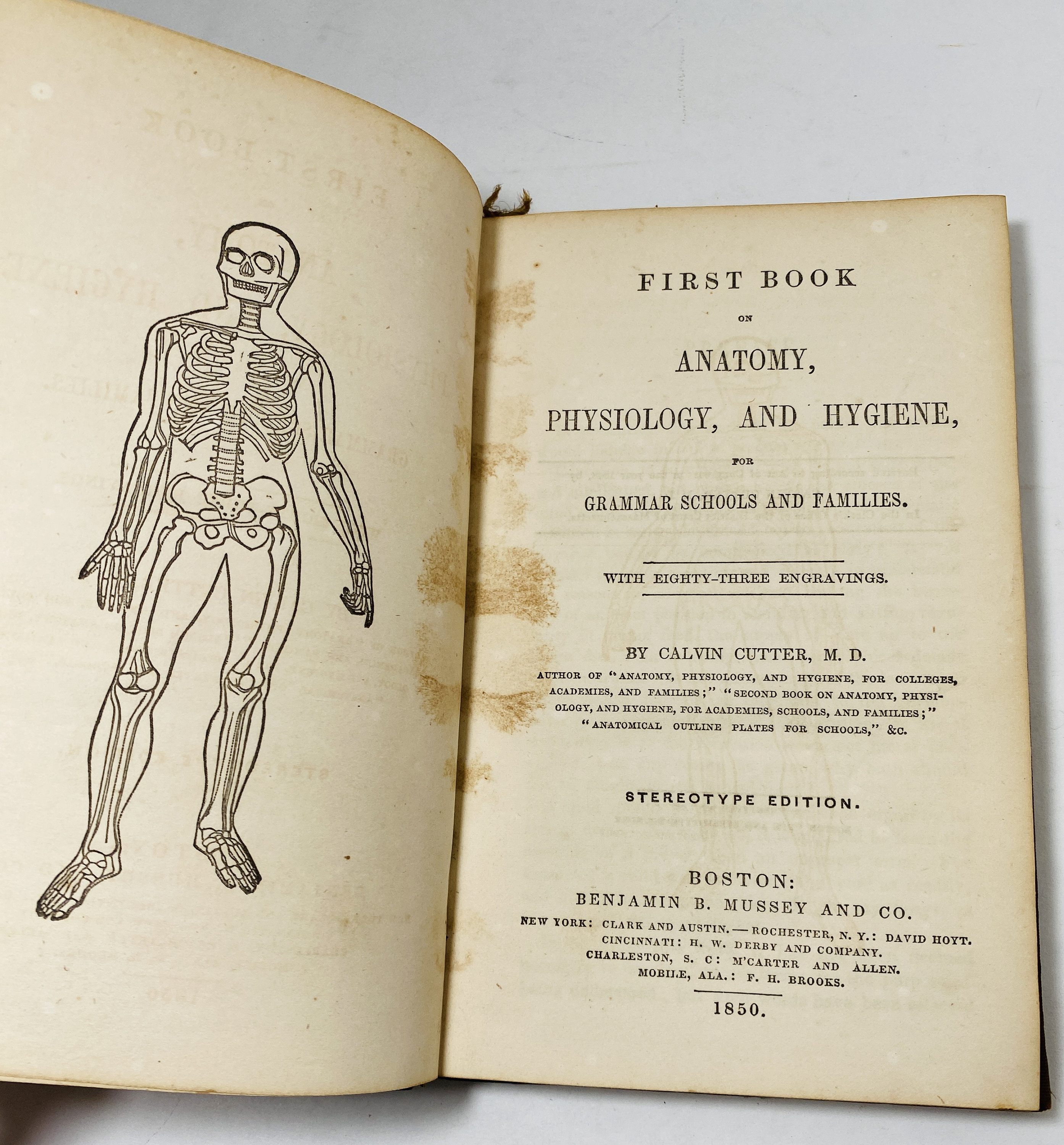 Human Physiology Anatomy Vintage Book Circa 1850 by Calvin Cutter Human Medicine Physician ...