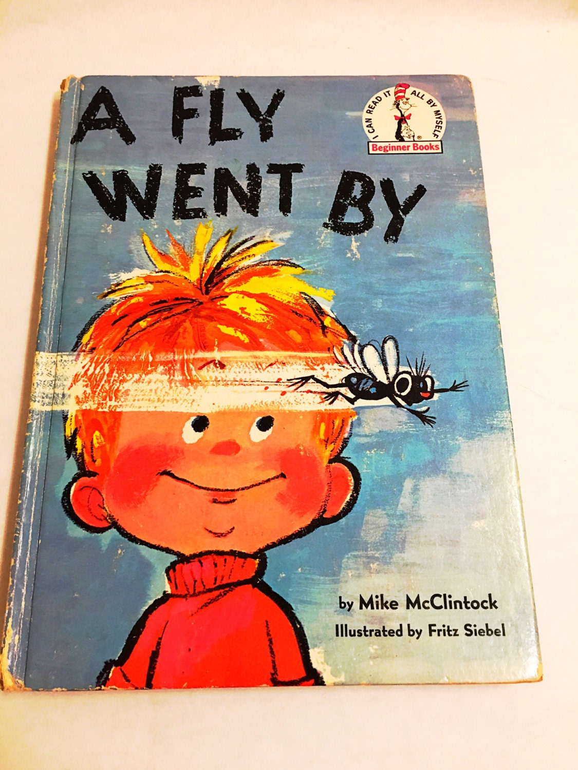 a fly went by by mike mcclintock a fly went by by mike mcclintock
