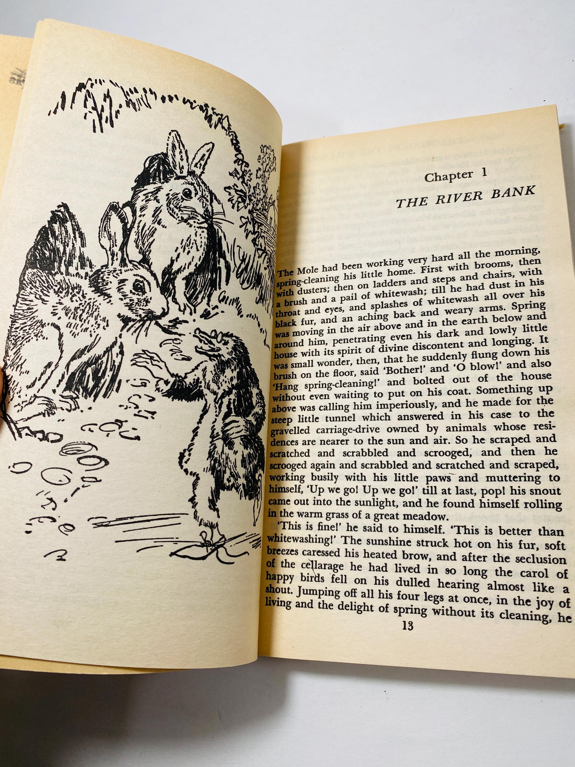 1966 Wind in the Willows Vintage Paperback Book by Kenneth Grahame ...