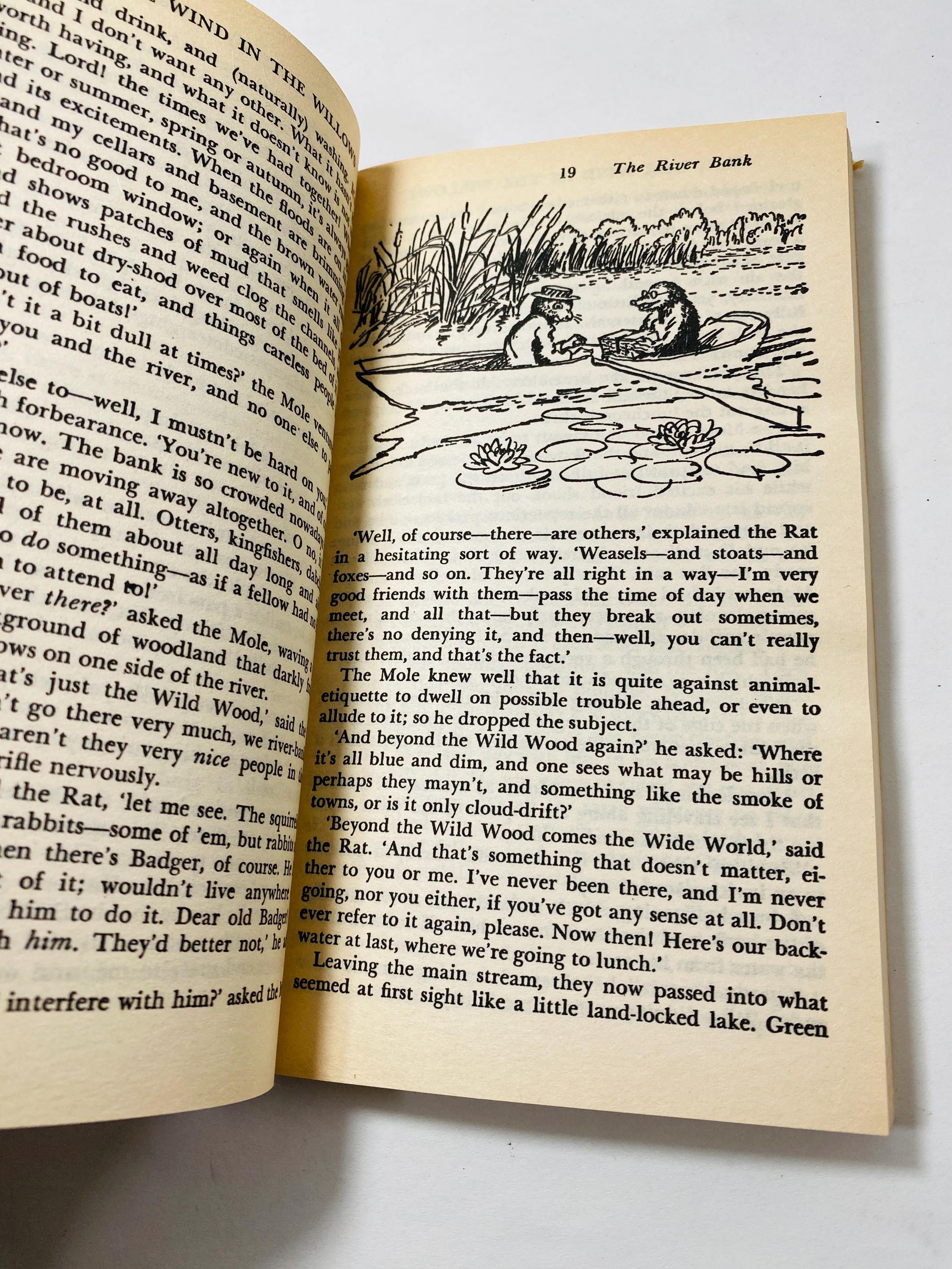 1966 Wind in the Willows Vintage Paperback Book by Kenneth Grahame ...