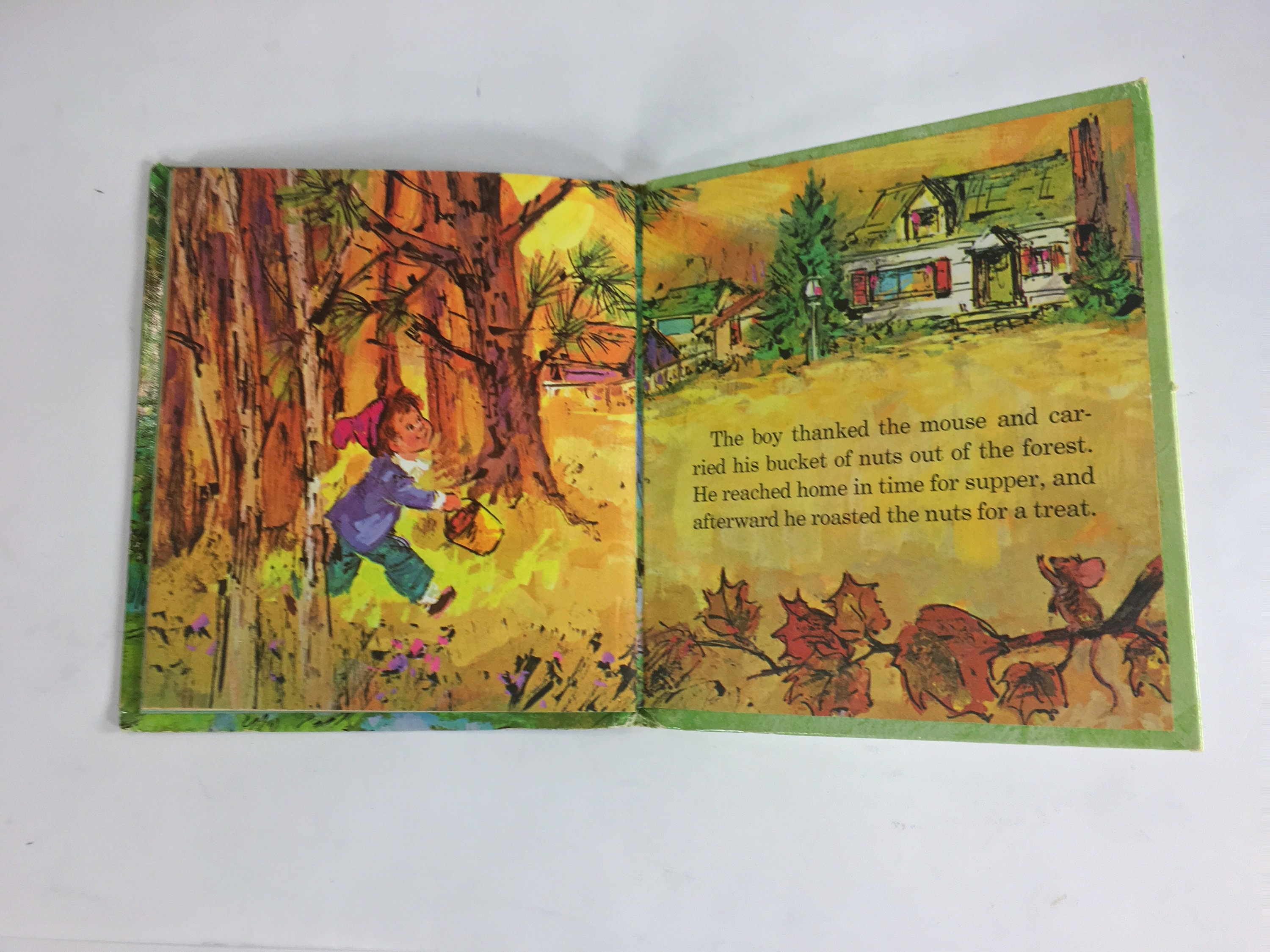 Little Boy in the Forest by David Harrison. Vintage Whitman Tell-a