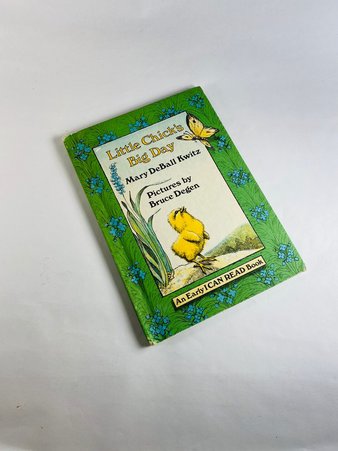 Little Chick's Big Day Vintage Early I Can Read Book by Mary Deball ...