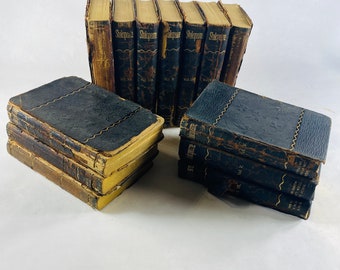 Shakespeare vintage leather miniature book set circa 1883 Macbeth King John Romeo & Juliet Comedy Errors Much Ado Nothing Twelfth Night