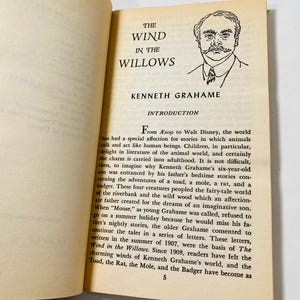 1966 Wind in the Willows Vintage Paperback Book by Kenneth Grahame ...