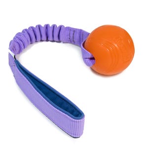Chuckit! Strato Ball with bungee - Built for Power, Made to Soar