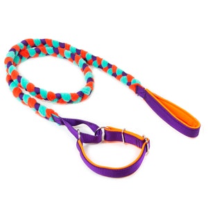Agility leash with martingale collar purple,mint,orange