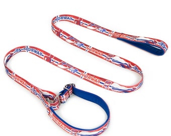 NORWAY | Sport leash with martingale collar 2in1 | FURRY PATRIOTS