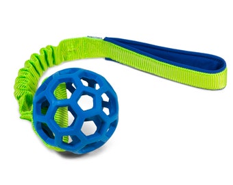 JW Pet Hol-EE Roller ball with bungee