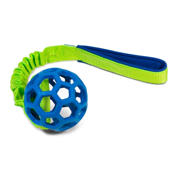 JW Pet Hol-EE Roller ball with bungee