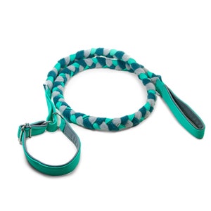 Agility leash with martingale collar mint,dark teal, gray