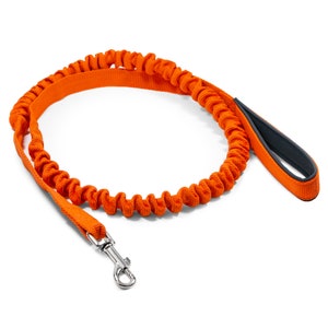 Bungee leash for dogs above 15kg zdjęcie 8