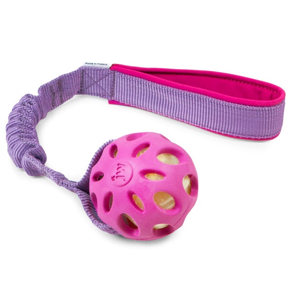 JW Pet Crackle Ball mit Bungee