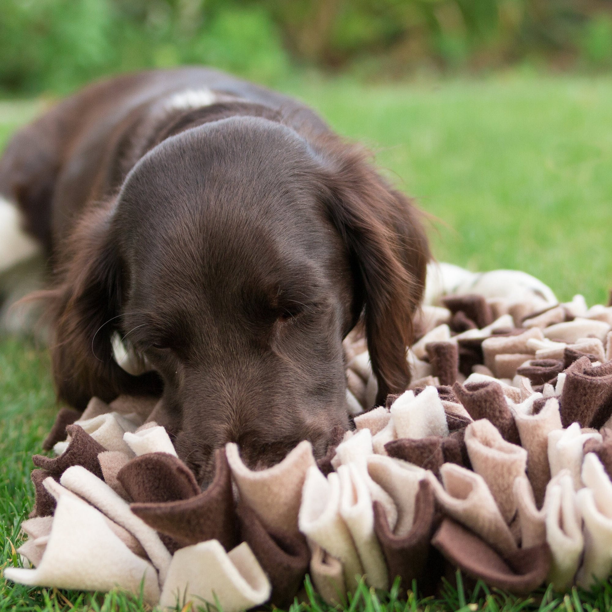 SNUFFLE Mat for Dog Cream, Beige, Brown - Etsy