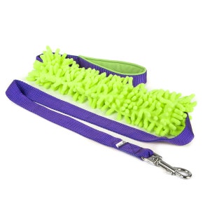 Dog leash with mop