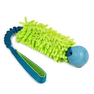 May include: A dog toy featuring a bright green, textured, rectangular section attached to a blue elastic cord and handle. A blue ball is at the opposite end of the green section. The handle has a green interior.