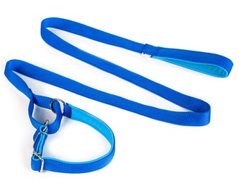 Sport leash with martingale collar 2in1