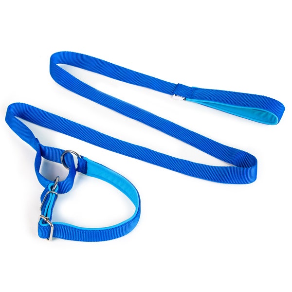 Sportleine mit Zugstopphalsband 2in1