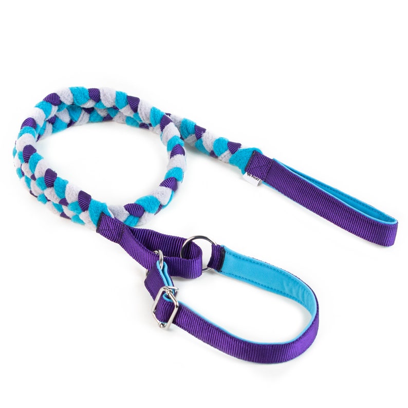 Agility leash with martingale collar purple,aqua,gray