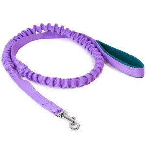 Bungee leash for dogs above 15kg zdjęcie 1