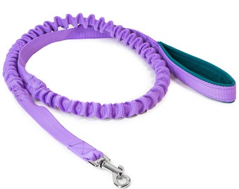 Bungee leash for dogs above 15kg