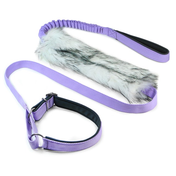 dog agility leash