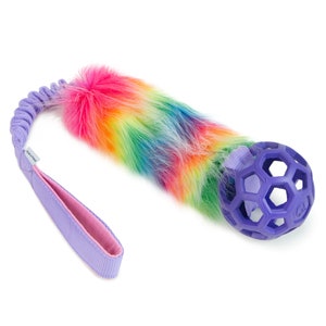 Op de afbeelding: Een hondenspeeltje met een regenboogkleurige imitatiebontsectie, een paarse honingraatbal en een lavendelkleurige handgreep. Het speeltje heeft een opgerolde lavendelkleurige sectie die het bont en de bal met de handgreep verbindt.