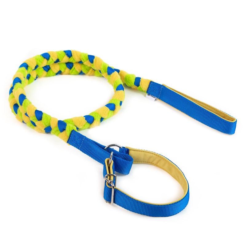 Agility leash with martingale collar blue, lime, yellow