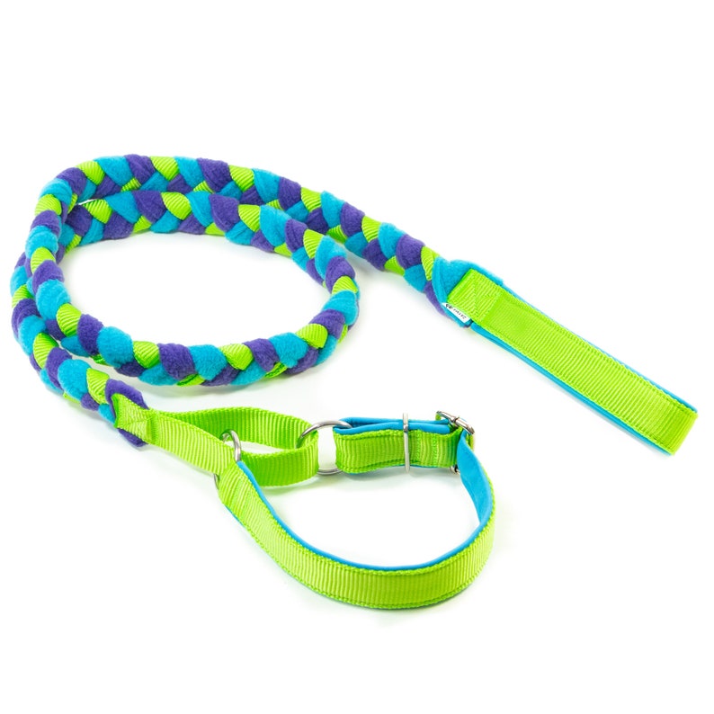 Agility leash with martingale collar lime,purple,blue