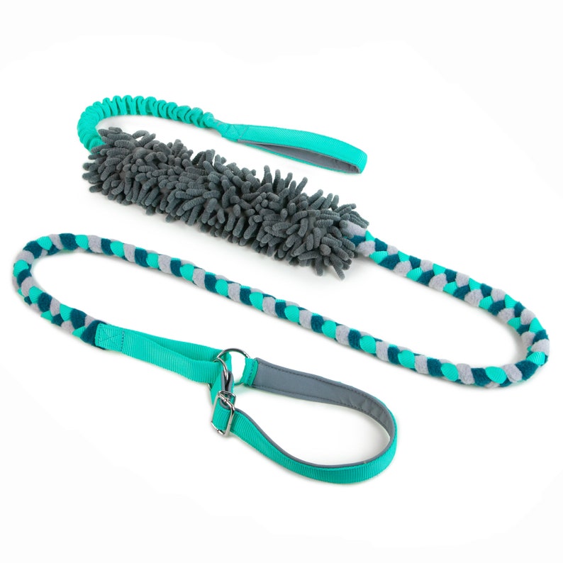 Braided agility leash with mop and bungee mint,dark teal, gray