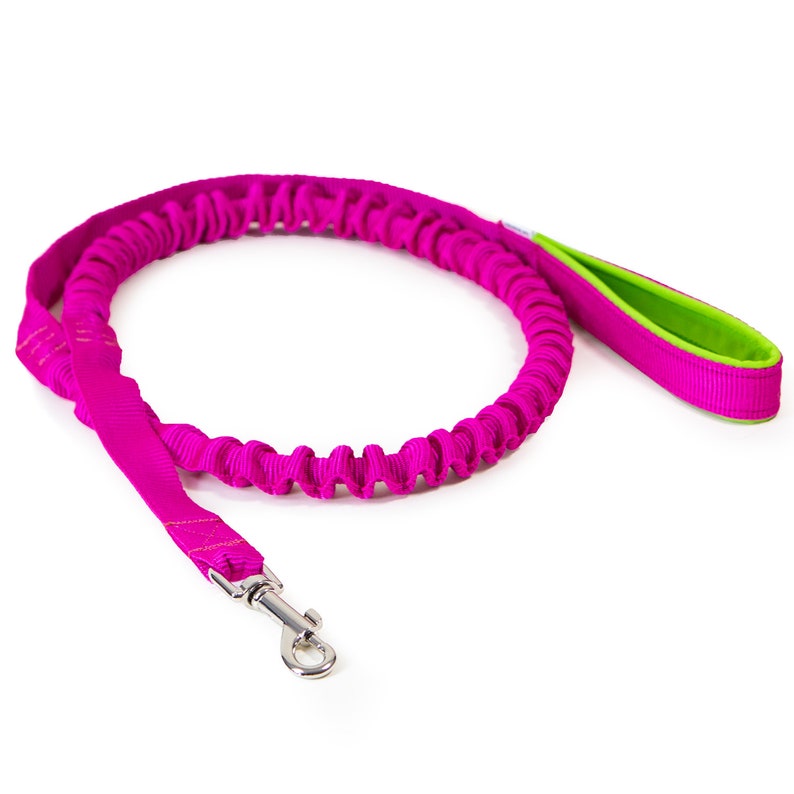 Bungee leash for dogs above 15kg zdjęcie 4
