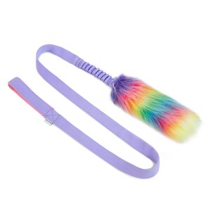 Può includere: Un giocattolo per cani viola con un pompon di pelliccia arcobaleno a un'estremità e un cinturino viola all'altra.