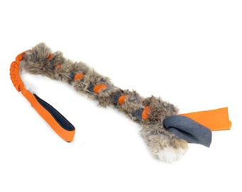 Geflochtener Hasen-Lauf mit Bungee – sanfte Motivation für sensible Hunde