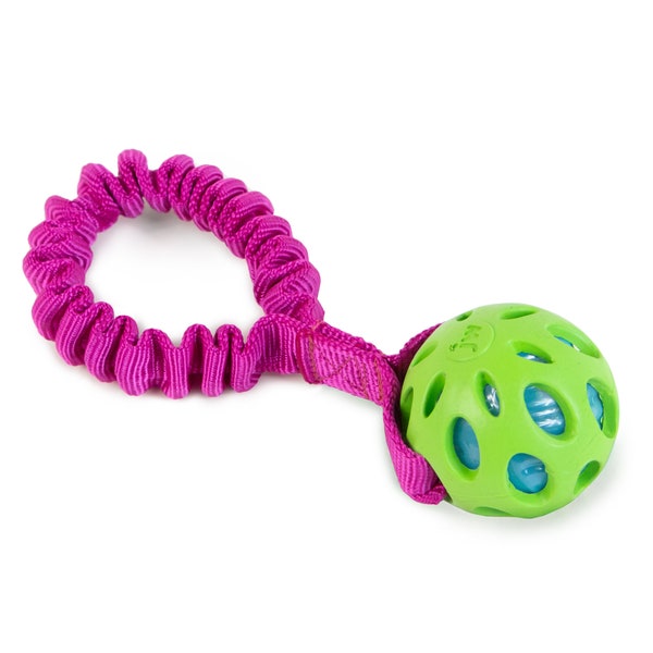 JW Pet Crackle Ball bungee ring