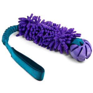 May include: A purple dog toy with a textured, cylindrical center and a teal handle. The toy has a ball-shaped end and an elastic cord connecting the handle to the center. The toy is designed for interactive play.
