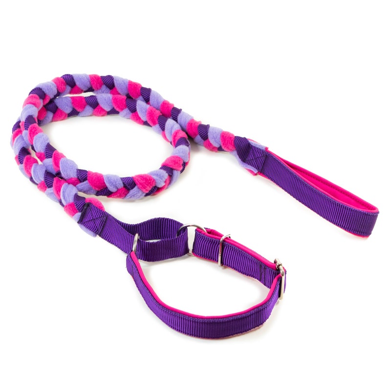 Agility leash with martingale collar purple,heather,pink