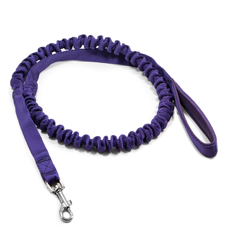 Bungee leash for dogs above 15kg zdjęcie 7