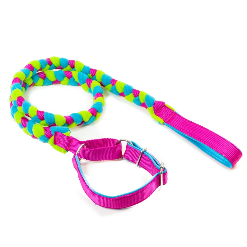 Agility leash with martingale collar fuchsia,lime,blue