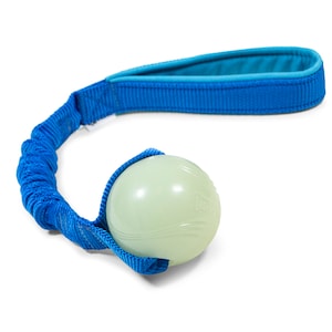 Puede incluir: Un juguete azul para perros con una bola verde claro y un asa azul. La bola está unida a un cordón elástico azul y a un asa. Diseñado para el juego interactivo y el ejercicio.