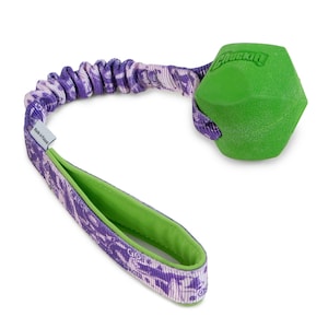 May include: A green, hexagonal dog toy with a purple and white patterned handle and elastic cord. The handle is lined with green fabric. The toy is designed for interactive play and fetch.