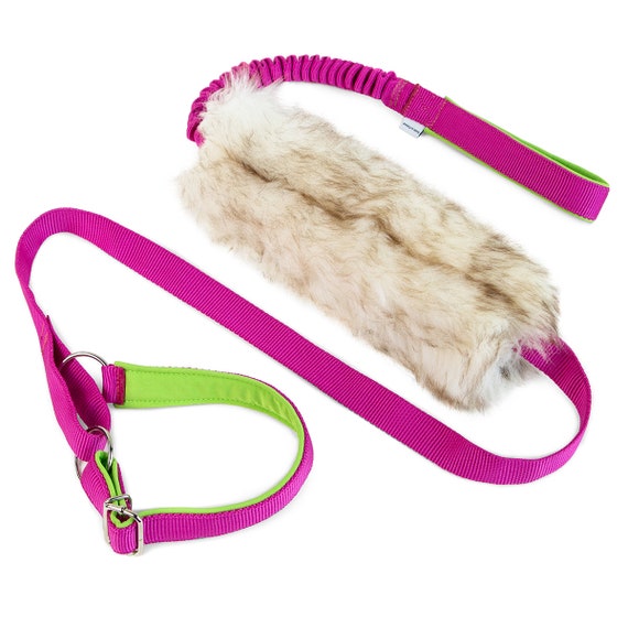Agility leash clearance
