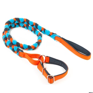 Agility leash with martingale collar orange,gray,blue