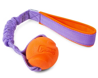 Bon sang ! Élastique Fetch Ball