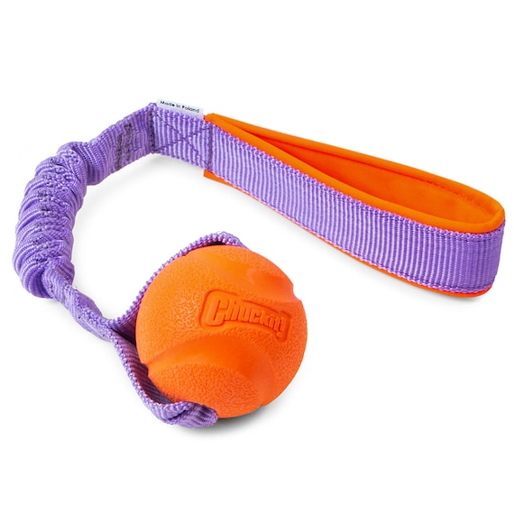 chuckit tug toy