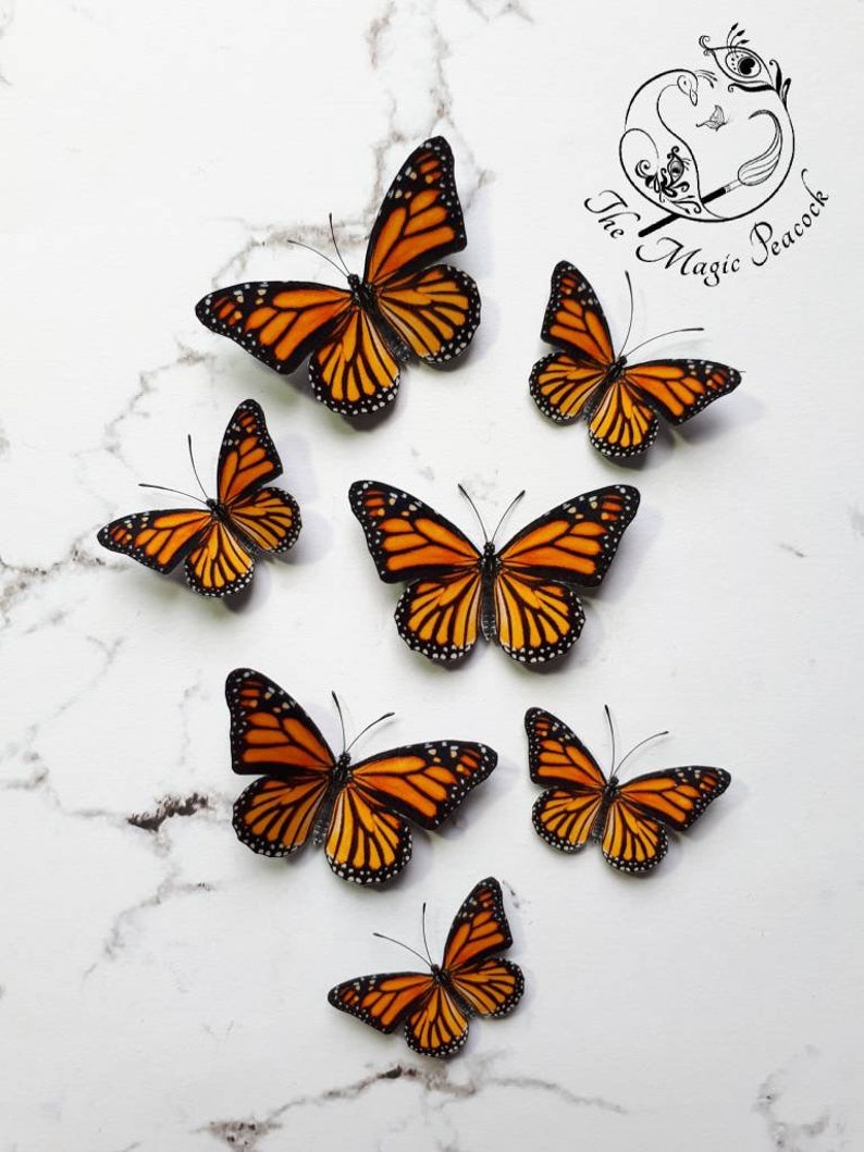 Miniature Butterflies for craft projects / decoration / resin Etsy