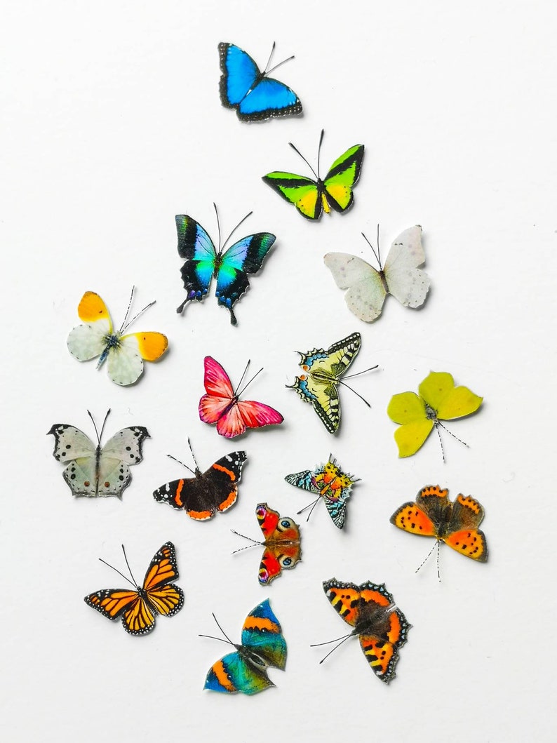 Miniature Butterflies for craft projects / decoration / resin Etsy