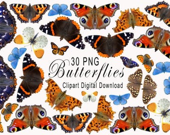 Butterfly png clip art, digital download, stickers, journal making, British butterfly set