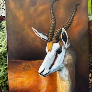 May include: An oil painting on canvas depicts a springbok antelope. The artwork features the animal's head and upper body, showcasing its distinctive horns and markings. The springbok has a white face with a brown and orange body, set against a brown background.