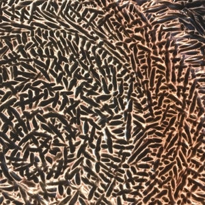 Plate (prototype) bild 3