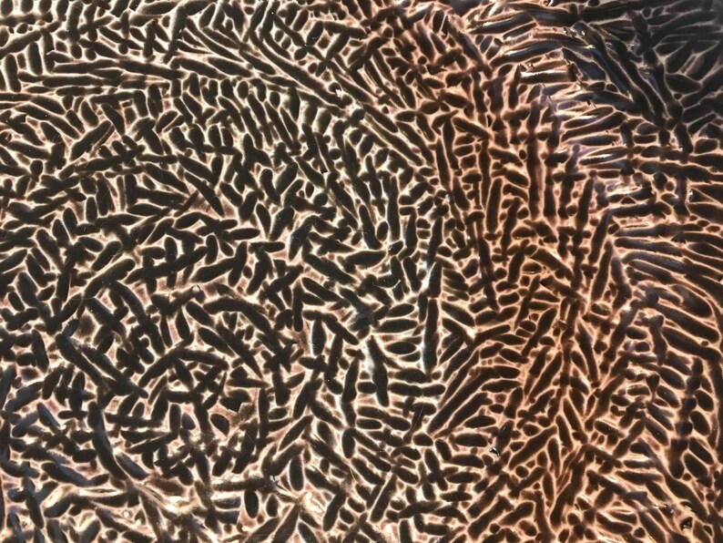 Plate (prototype) bild 3