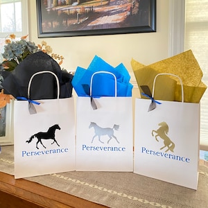 Horse Party Bag, Cowgirl Party Bag, Horse Birthday Party, Pony Treat Bag, Horse Party Favor, Derby Party Favor, Equestrian Party Bag
